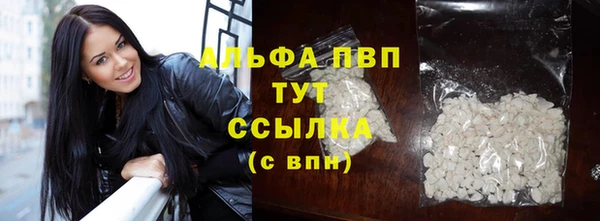 дживик Осташков