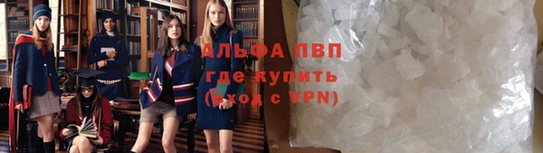 дживик Осташков