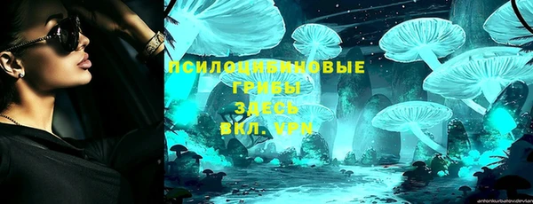 дживик Осташков