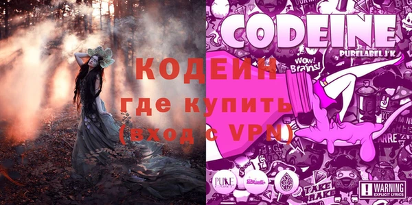 дживик Осташков