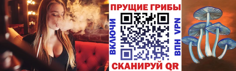 Галлюциногенные грибы ЛСД  Ачинск 