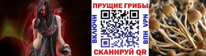 Псилоцибиновые грибы мухоморы Ачинск