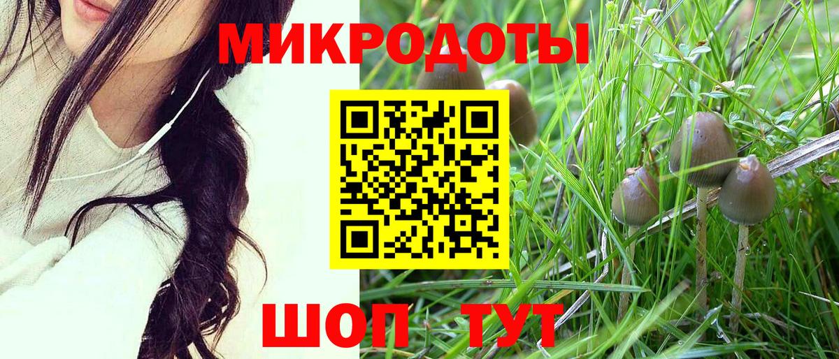 Галлюциногенные грибы Psilocybe  Псилоцибиновые грибы мицелий  Ачинск  Вход с VPN 