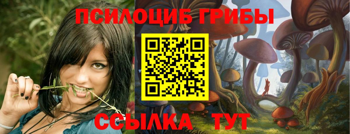 Псилоцибиновые грибы Cubensis Ачинск