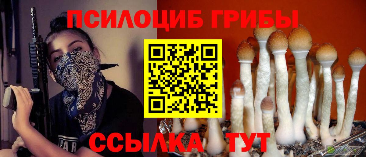 Псилоцибиновые грибы MAGIC MUSHROOMS  Псилоцибиновые грибы Cubensis  Ачинск 