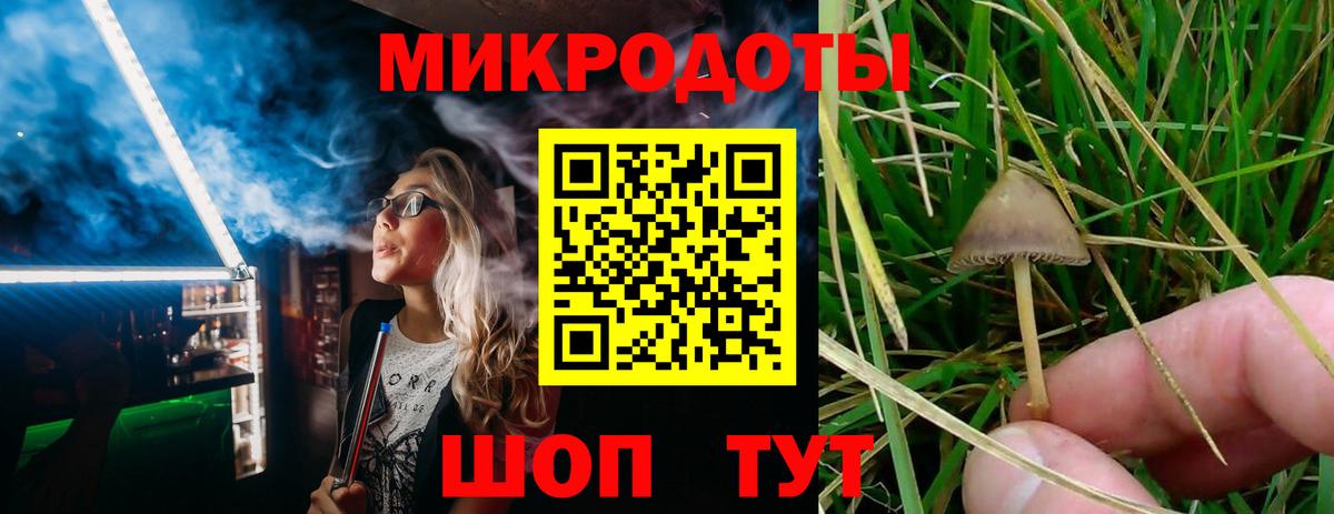 Псилоцибиновые грибы мицелий Ачинск