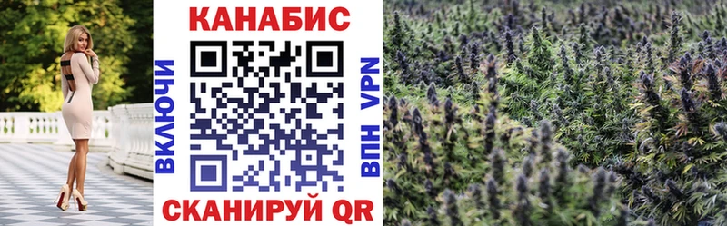 Конопля планчик Ачинск